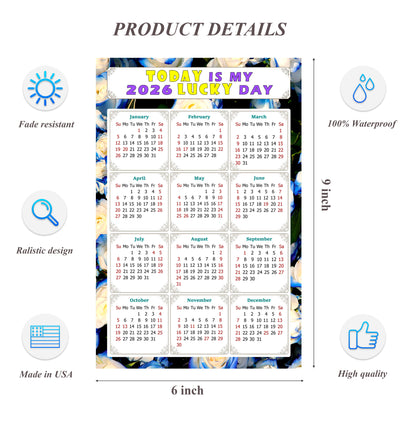 2026 Peel & Stick Calendar - Today is my Lucky Day Removable - 025