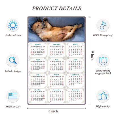 2026 Peel & Stick Calendar - Today is my Lucky Day Removable - Dogs 013 (9"x 6")
