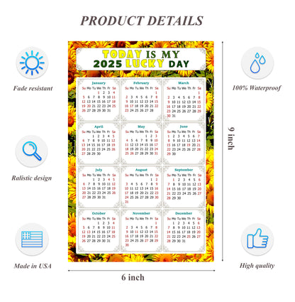 2025 Peel & Stick Calendar - Today is my Lucky Day Removable - 030