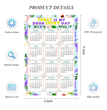 2026 Peel & Stick Calendar - Today is my Lucky Day Removable - 016