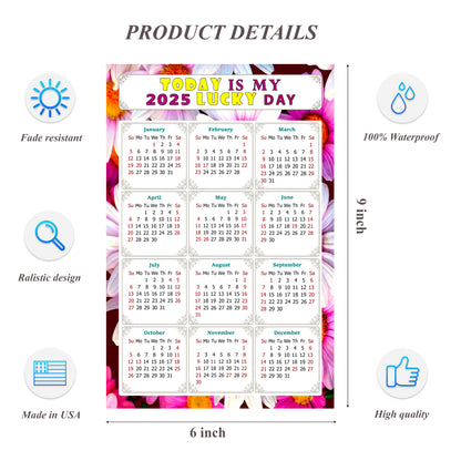 2025 Peel & Stick Calendar - Today is my Lucky Day Removable - 032