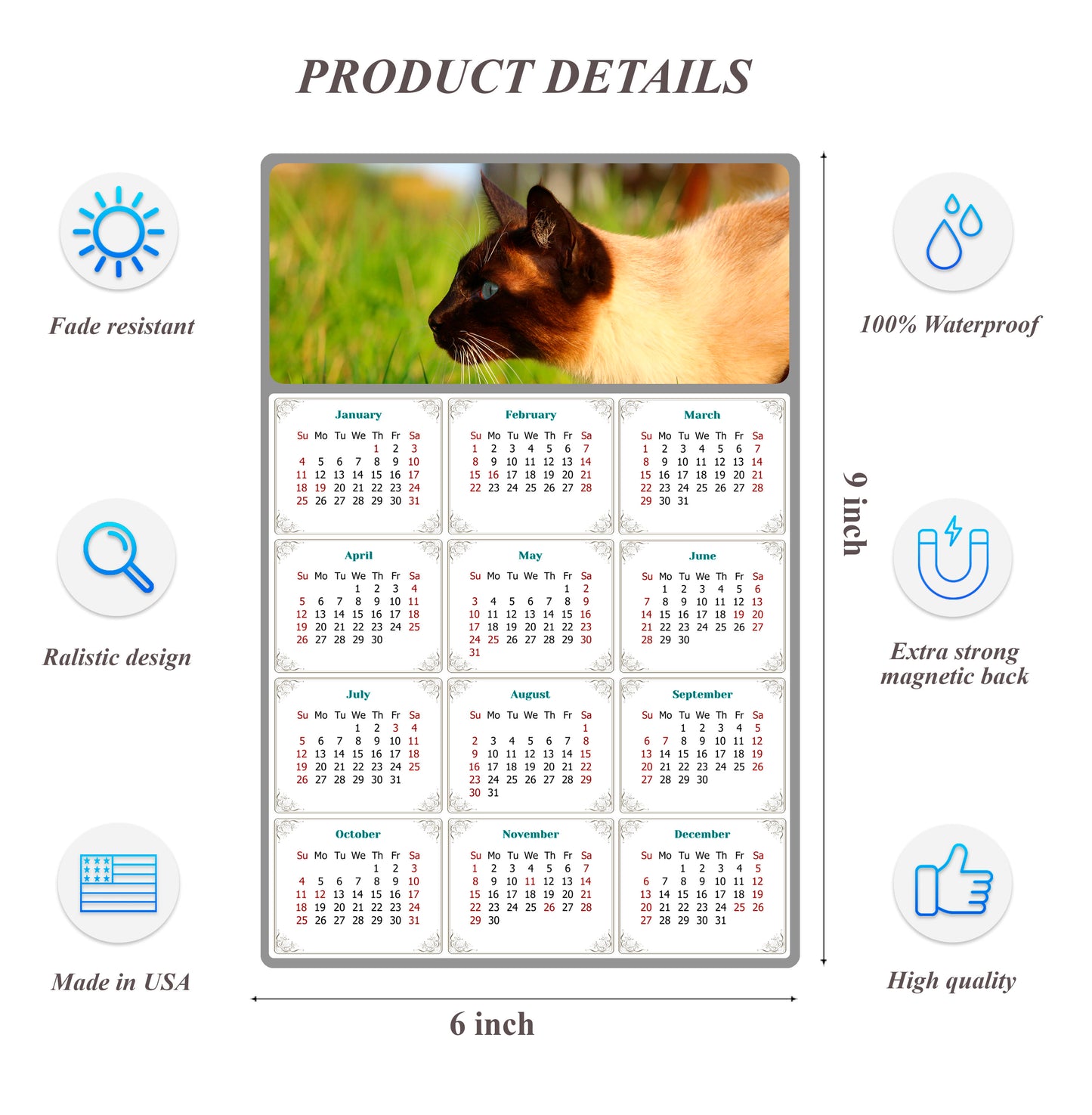 2026 Peel & Stick Calendar - Today is my Lucky Day Removable - Cat 03 (9"x 6")