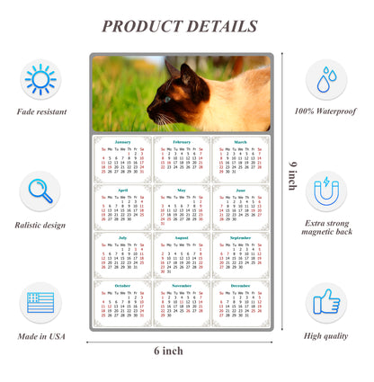 2026 Peel & Stick Calendar - Today is my Lucky Day Removable - Cat 03 (9"x 6")