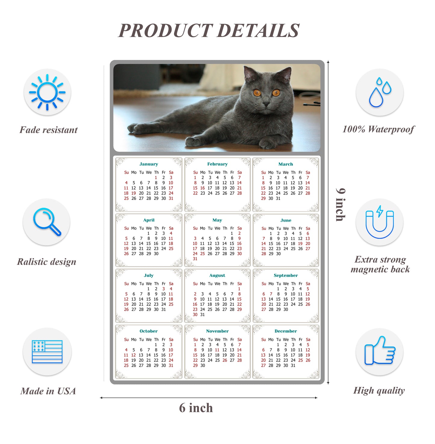 2026 Peel & Stick Calendar - Today is my Lucky Day Removable - Cat 014 (9"x 6")