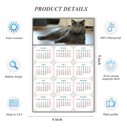 2026 Peel & Stick Calendar - Today is my Lucky Day Removable - Cat 014 (9"x 6")