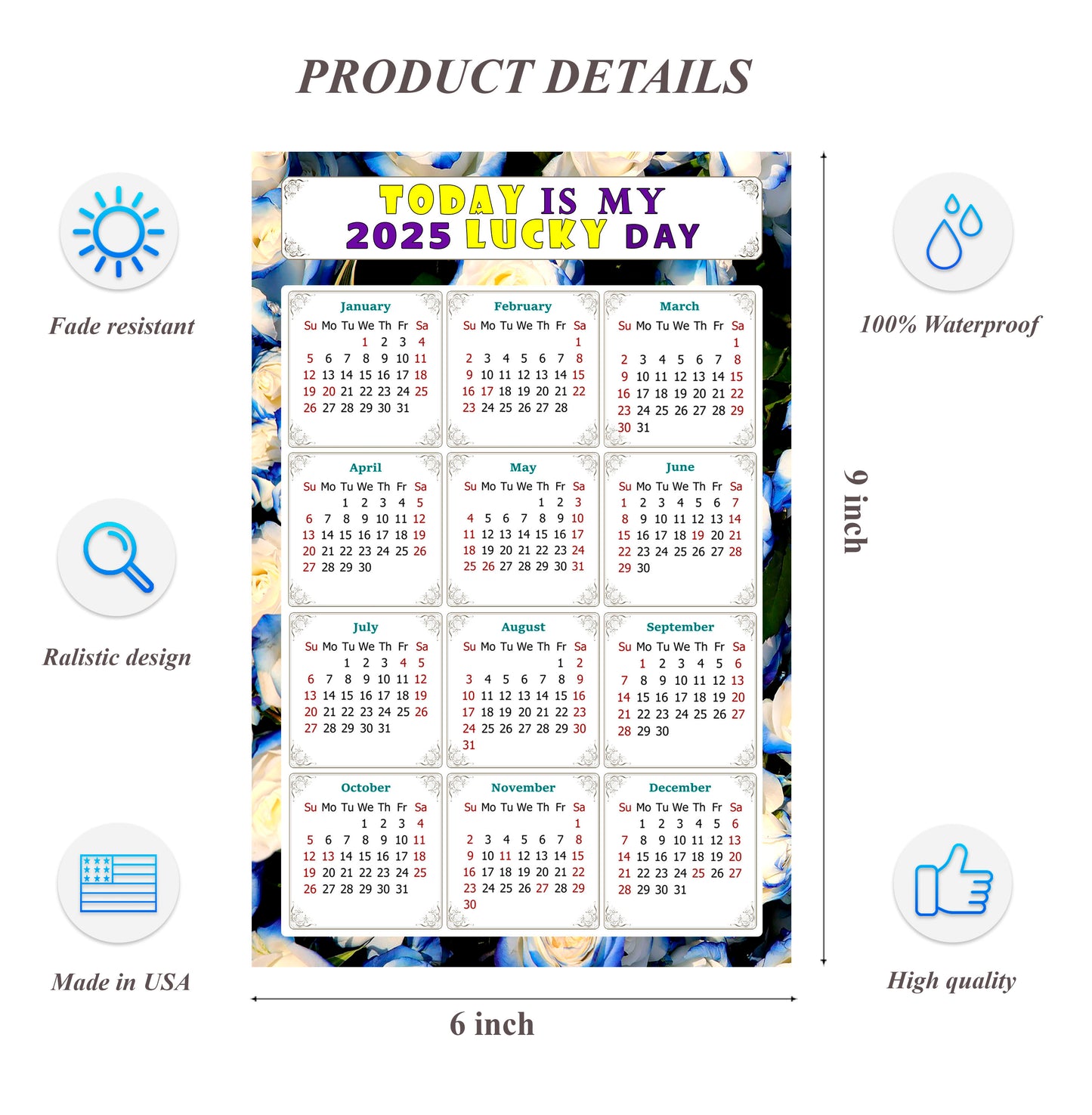 2025 Peel & Stick Calendar - Today is my Lucky Day Removable - 025