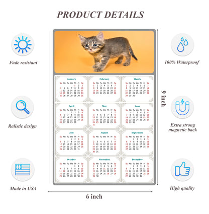 2026 Peel & Stick Calendar - Today is my Lucky Day Removable - Cat 018 (9"x 6")