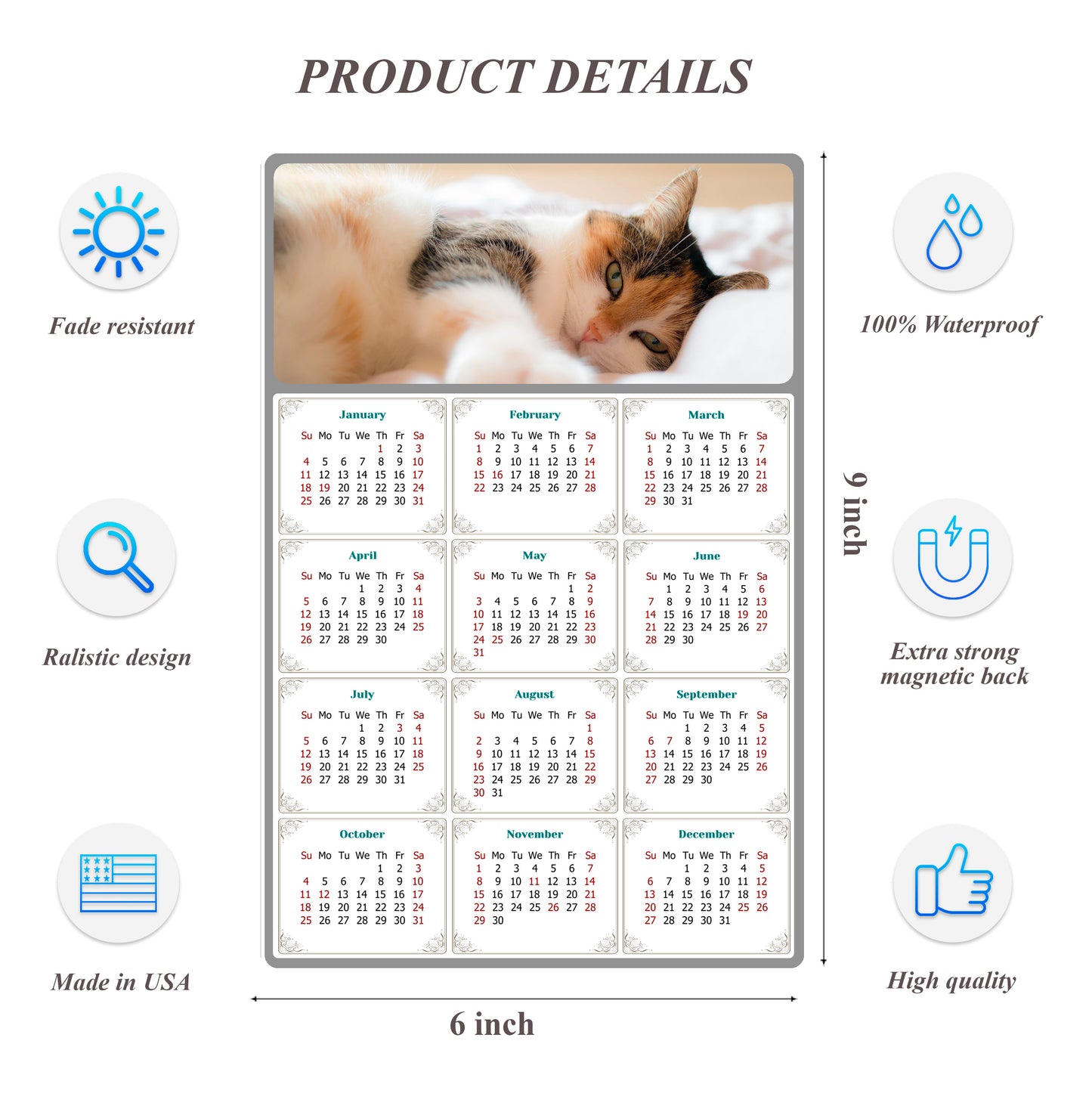 2026 Peel & Stick Calendar - Today is my Lucky Day Removable - Cat 04 (9"x 6")
