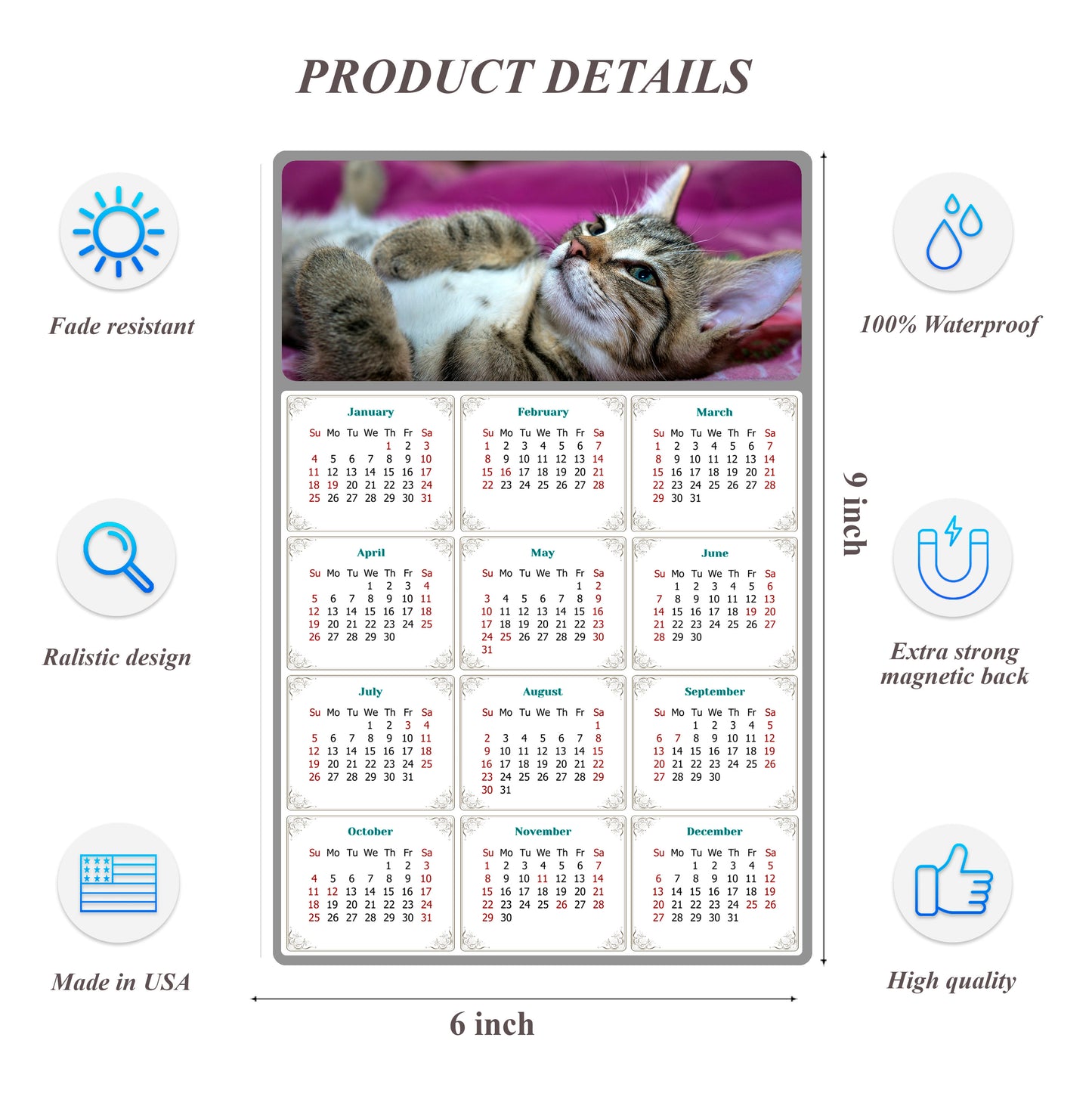 2026 Peel & Stick Calendar - Today is my Lucky Day Removable - Cat 08 (9"x 6")