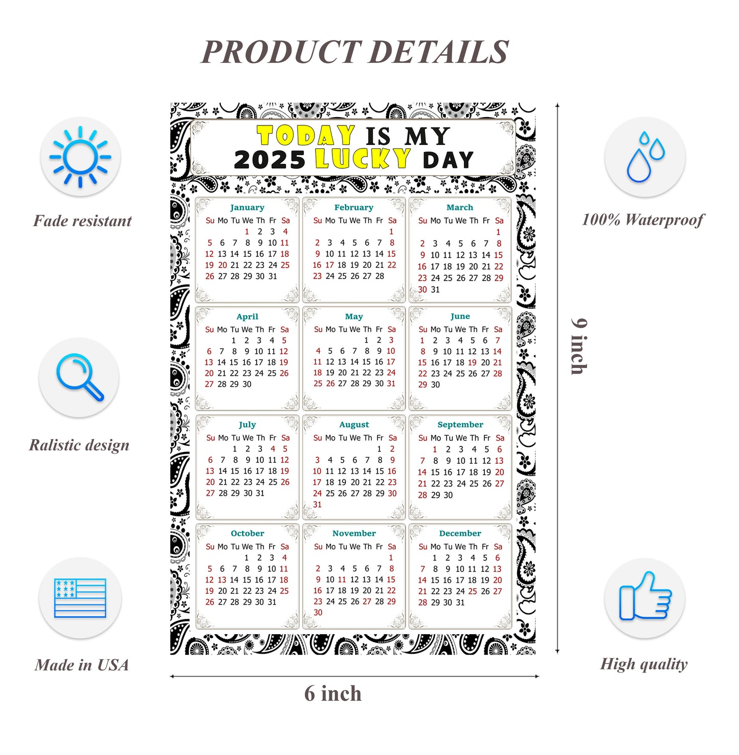 2025 Peel & Stick Calendar - Today is my Lucky Day Removable - 040