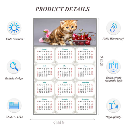 2026 Peel & Stick Calendar - Today is my Lucky Day Removable - Cat 016 (9"x 6")