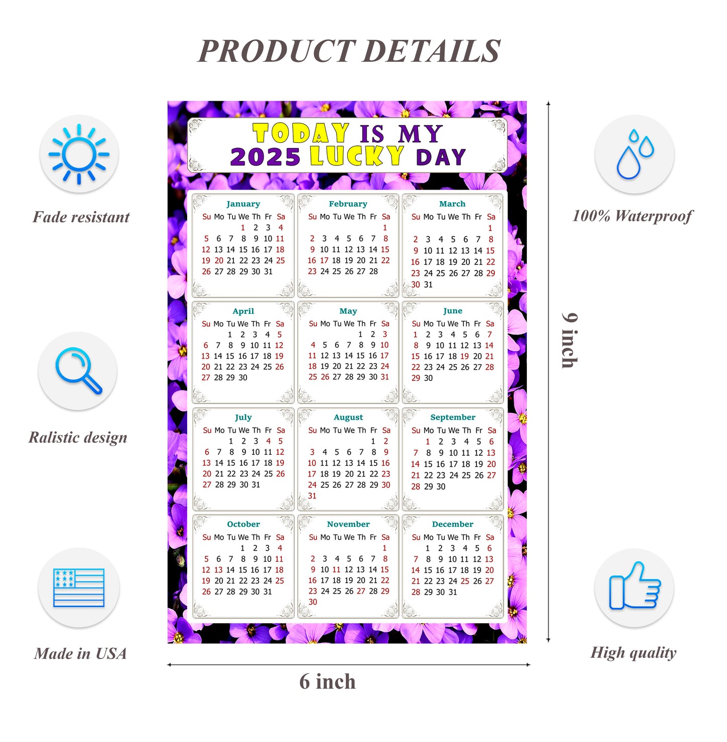 2025 Peel & Stick Calendar - Today is my Lucky Day Removable - 026