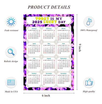 2025 Peel & Stick Calendar - Today is my Lucky Day Removable - 026