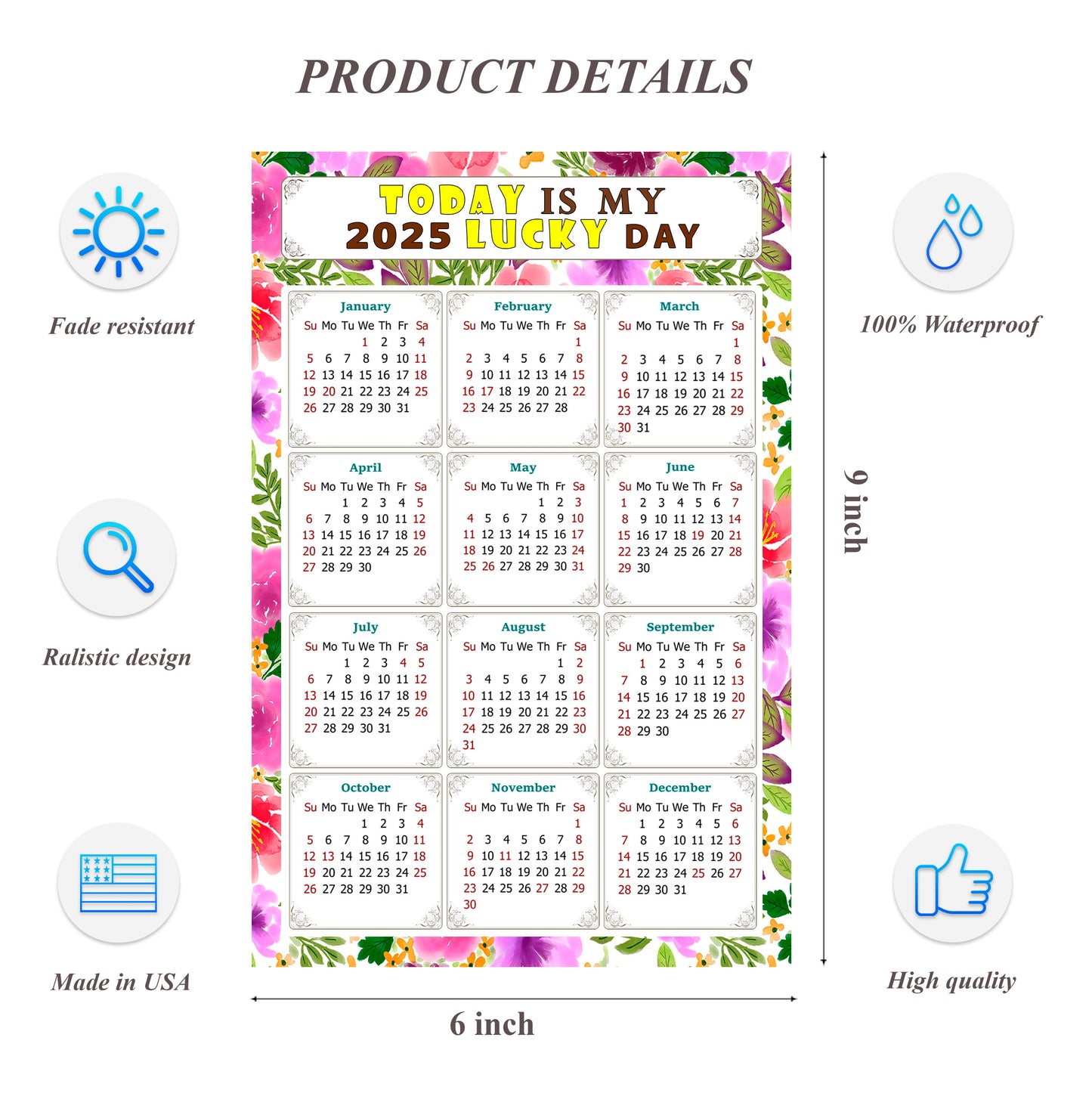 2025 Peel & Stick Calendar - Today is my Lucky Day Removable - 023