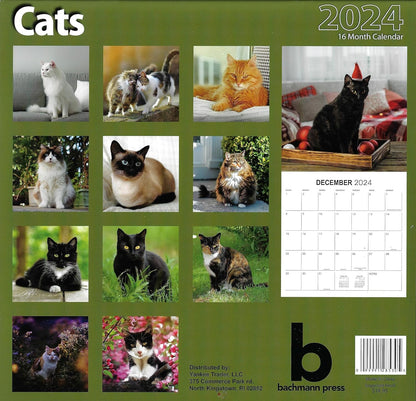 2024 Cats Full Size Wall Calendar for Planning, Scheduling, and Organizing