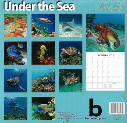 2024 Under the Sea Full Size Wall Calendar for Planning, Scheduling, and Organizing