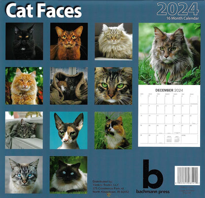 2024 Cat Faces Full Size Wall Calendar for Planning, Scheduling, and Organizing