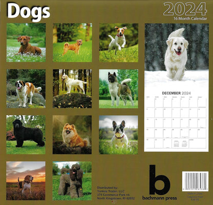 2024 Dogs Full Size Wall Calendar for Planning, Scheduling, and Organizing