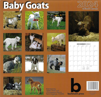 2024 Baby Goats Full Size Wall Calendar for Planning, Scheduling, and Organizing