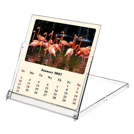2027 CD-Style Desk Calendar 12 Months Calendar (Birds)