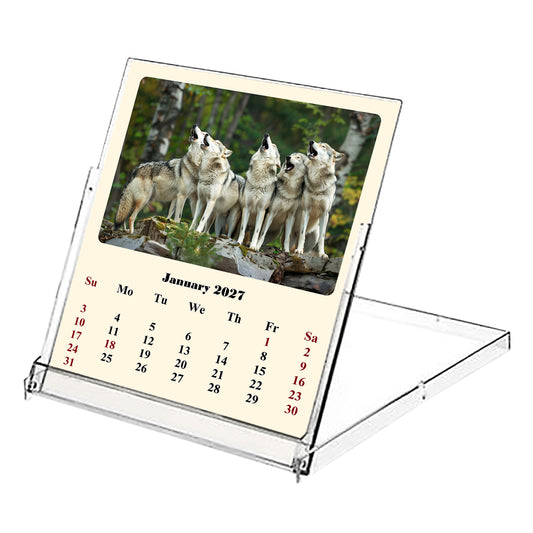 2027 CD-Style Desk Calendar 12 Months Calendar (Wolves)