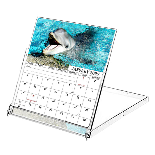 2027 CD-Style Desk Calendar 12 Months Calendar (Dolphins)