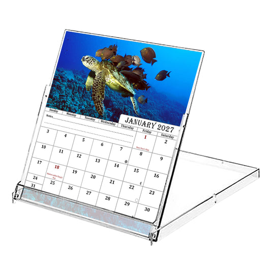 2027 CD-Style Desk Calendar 12 Months Calendar (Turtles)