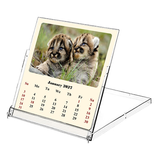 2026 CD-Style Desk Calendar 12 Months Calendar (Baby Animals)