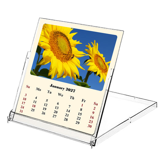 2027 CD-Style Desk Calendar 12 Months Calendar (Sunflowers)