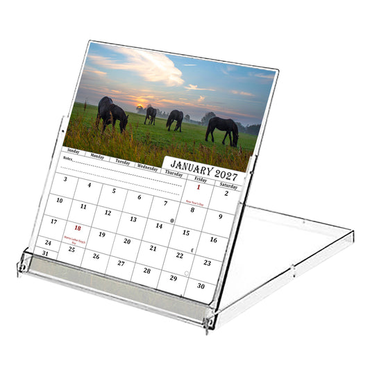 2027 CD-Style Desk Calendar 12 Months Calendar (Horses)