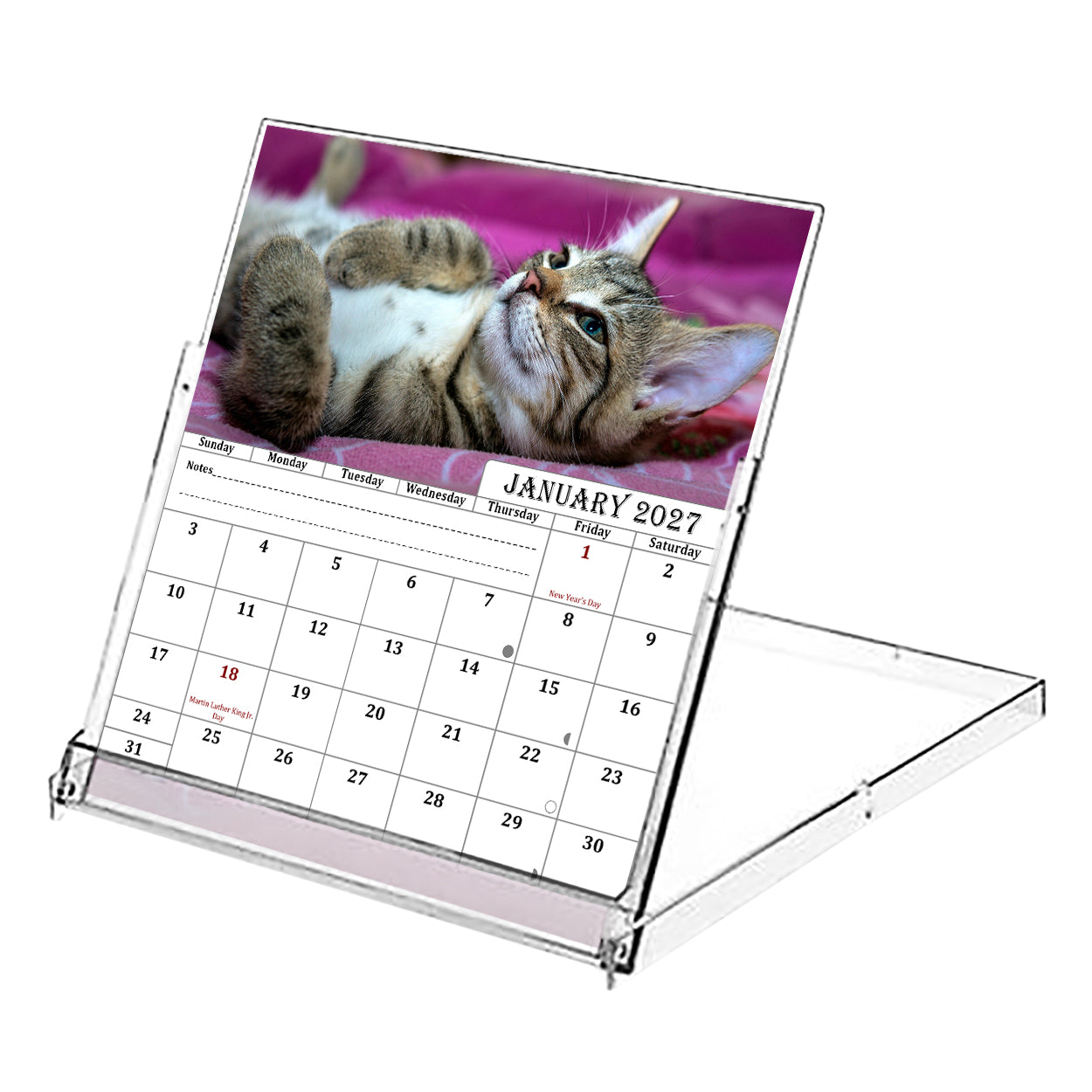 2027 CD-Style Desk Calendar 12 Months Calendar (Cats)