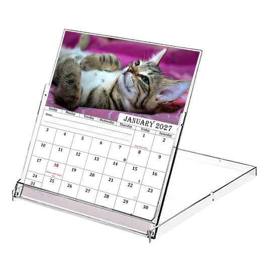 2027 CD-Style Desk Calendar 12 Months Calendar (Cats)