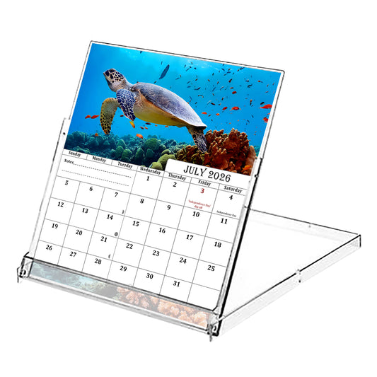 2026-2027 CD-Style Desk Calendar 18 Months Calendar (Turtles)
