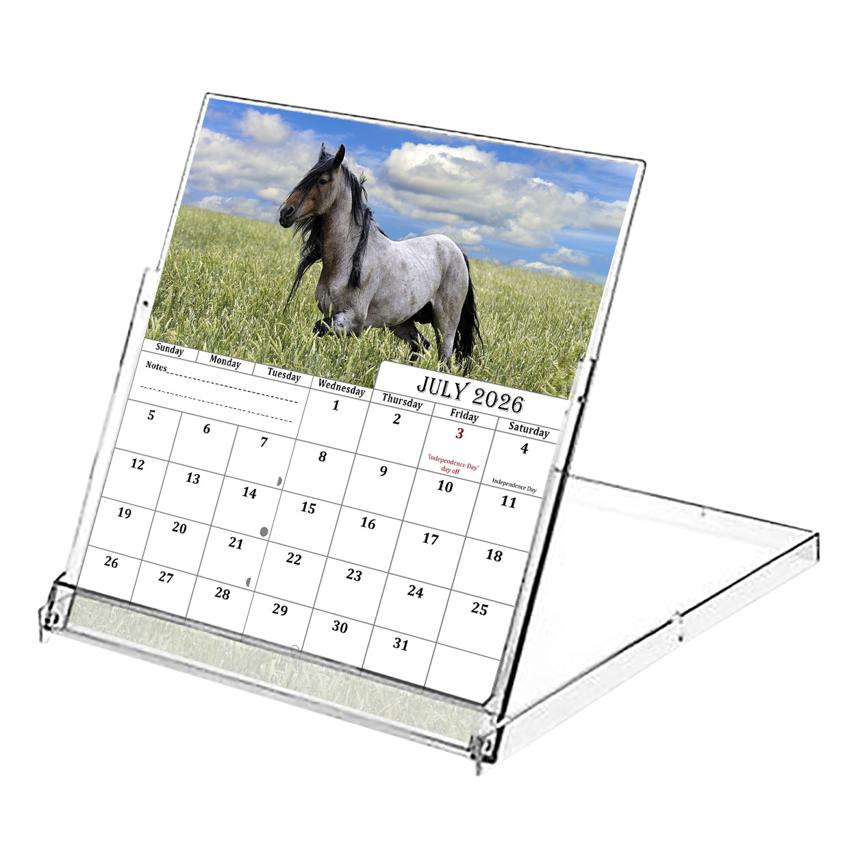 2026-2027 CD-Style Desk Calendar 18 Months Calendar (Horses)
