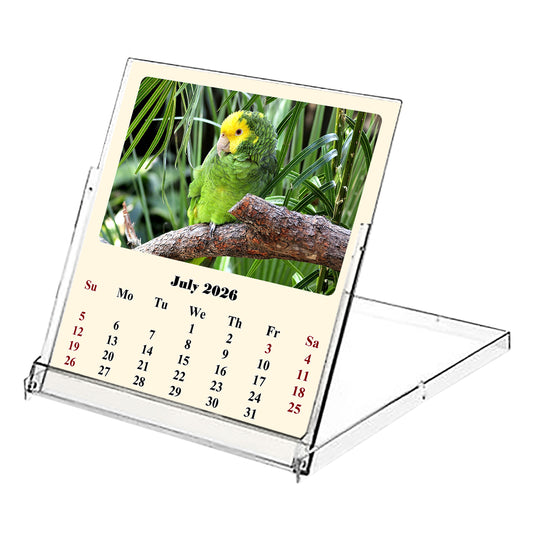 2026-2027 CD-Style Desk Calendar 18 Months Calendar (Birds)
