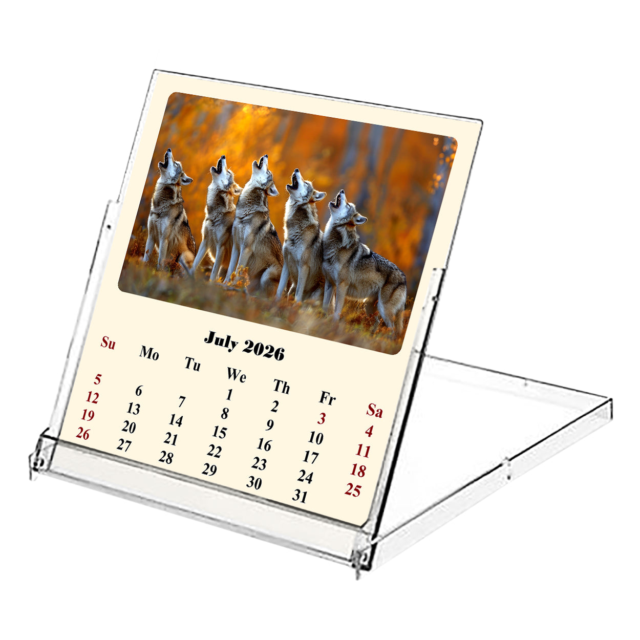 2026-2027 CD-Style Desk Calendar 18 Months Calendar (Wolves)