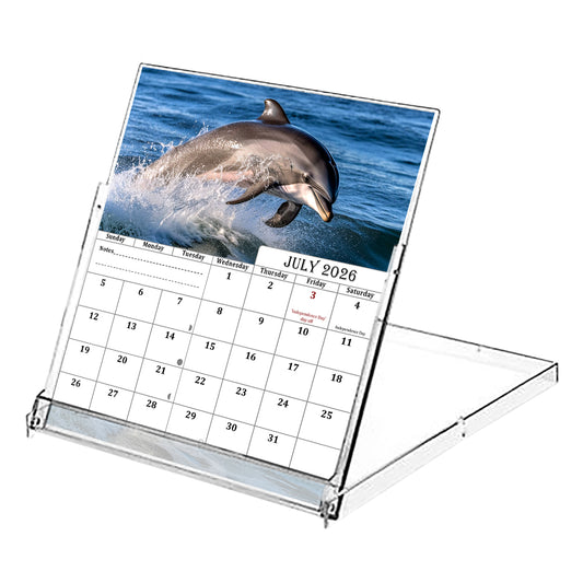 2026-2027 CD-Style Desk Calendar 18 Months Calendar (Dolphins)