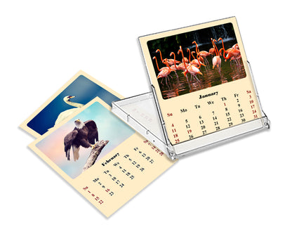 2027 CD-Style Desk Calendar 12 Months Calendar (Birds)
