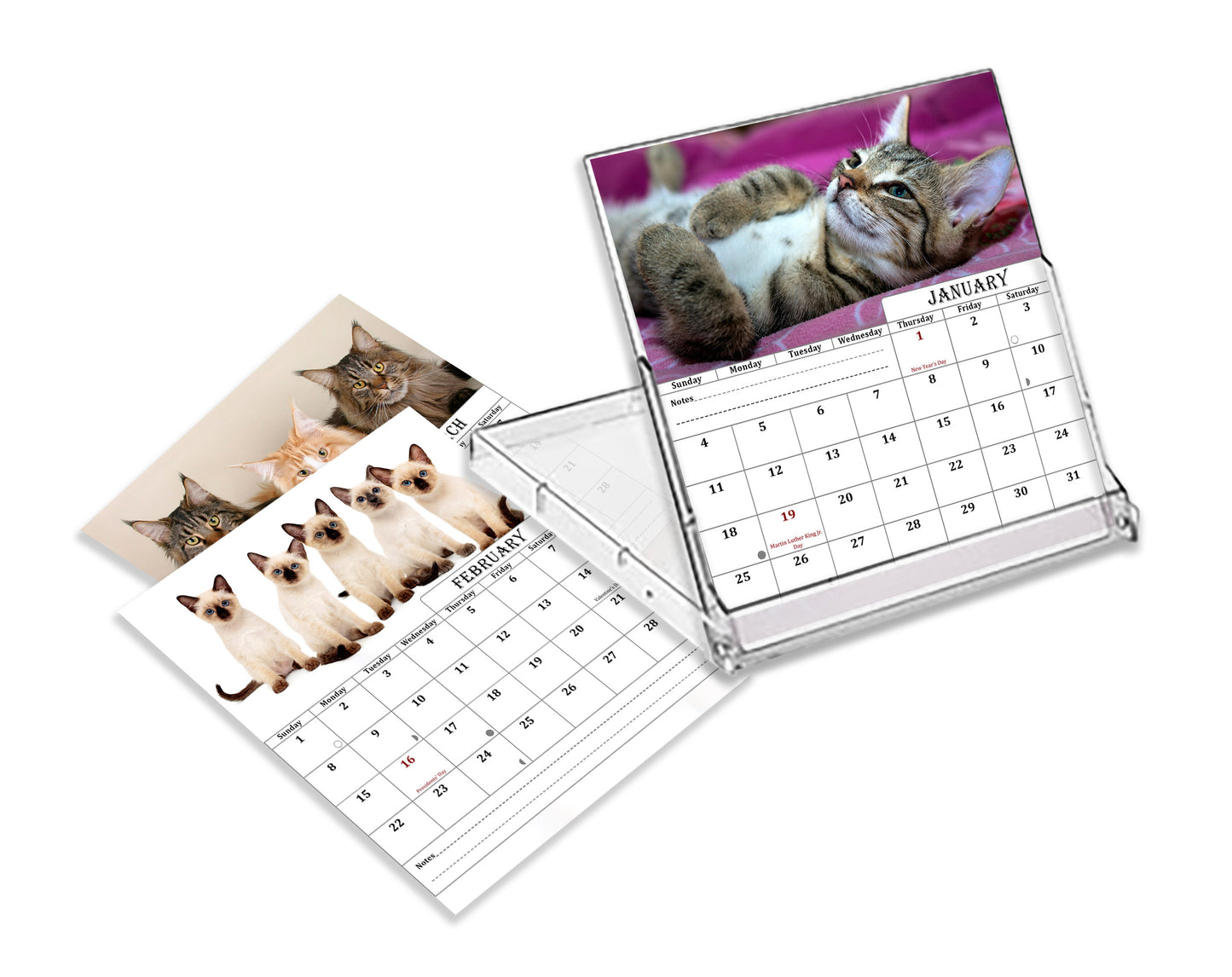 2027 CD-Style Desk Calendar 12 Months Calendar (Cats)