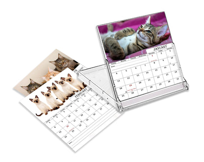 2027 CD-Style Desk Calendar 12 Months Calendar (Cats)