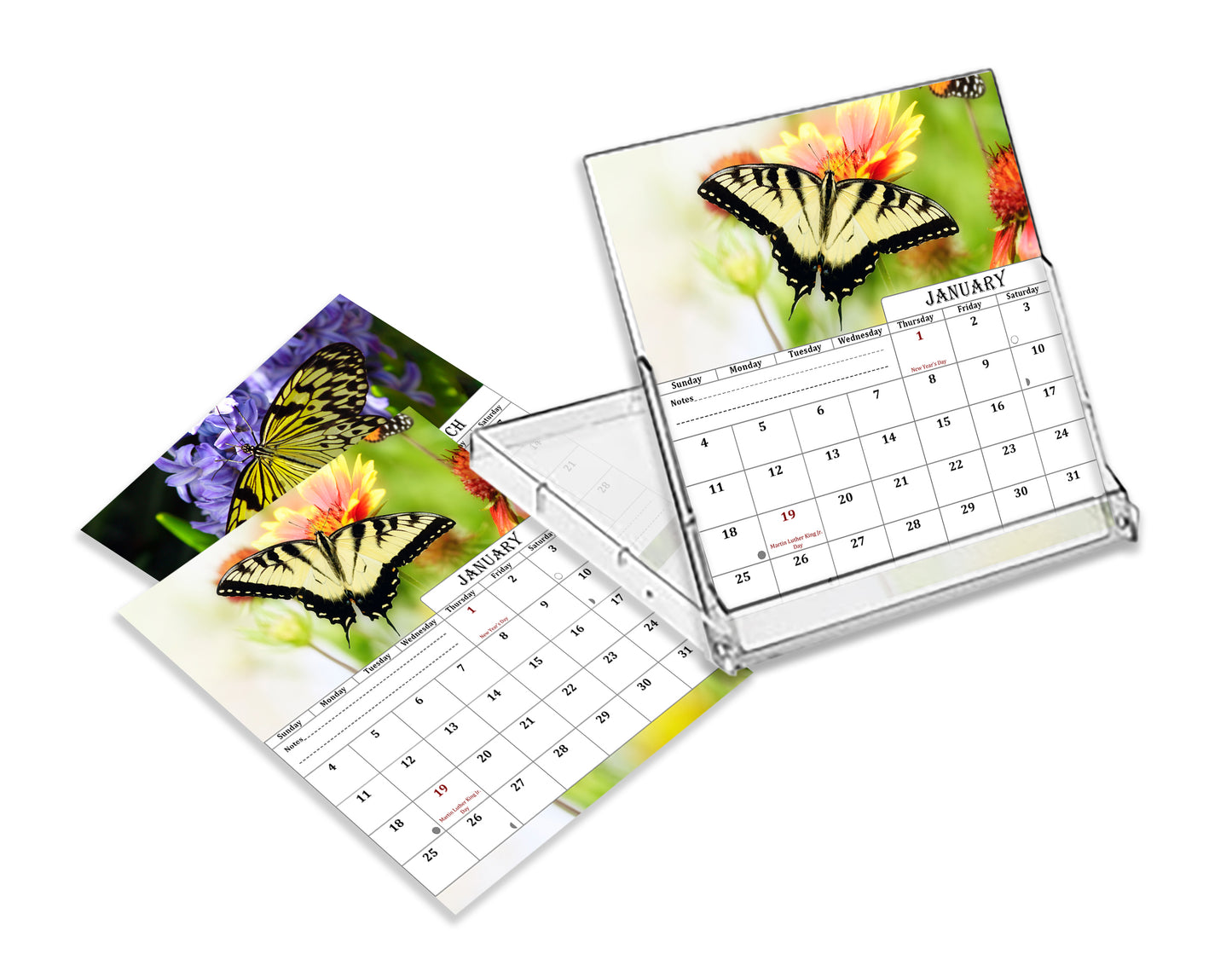 2027 CD-Style Desk Calendar 12 Months Calendar (Butterflies)