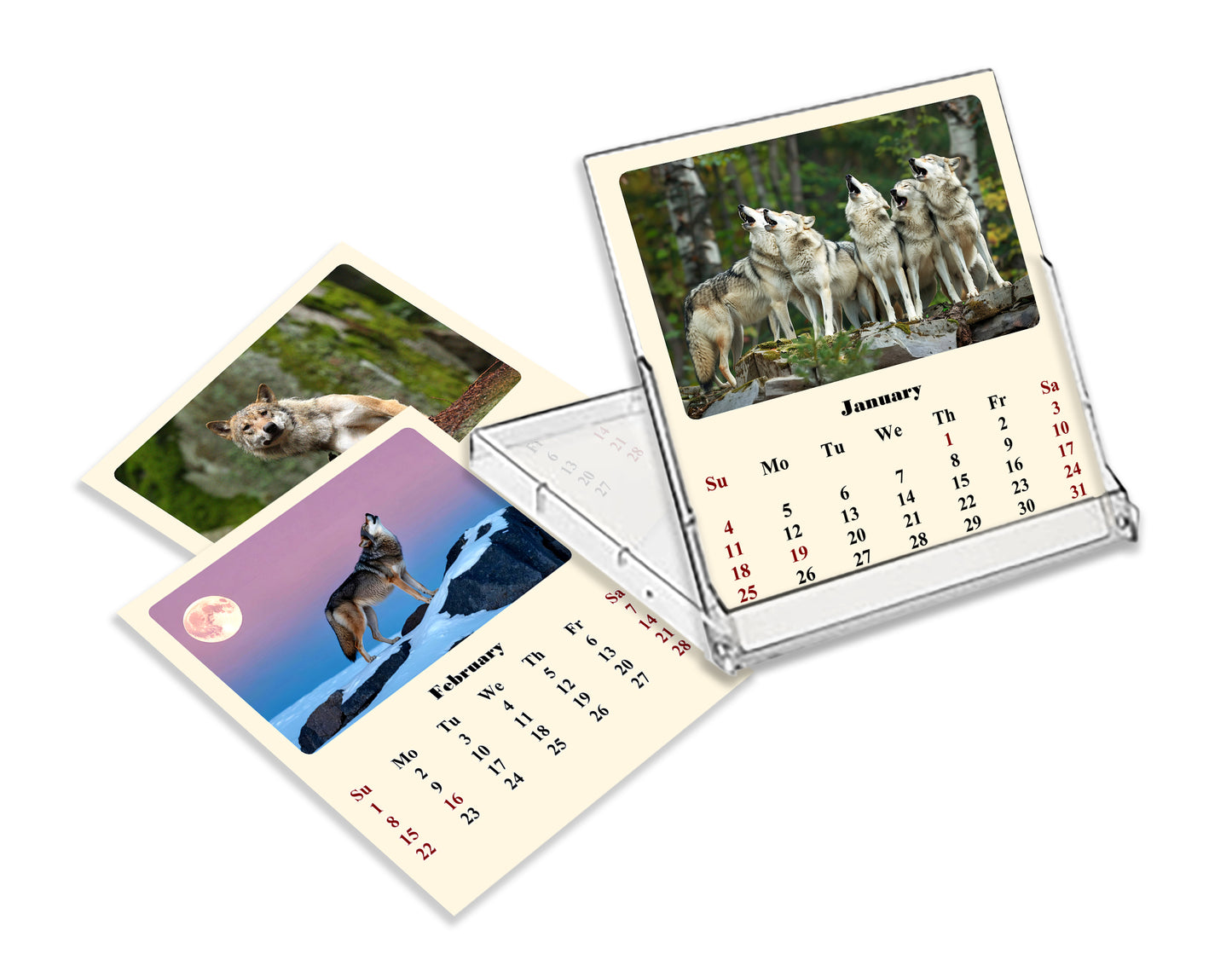 2027 CD-Style Desk Calendar 12 Months Calendar (Wolves)