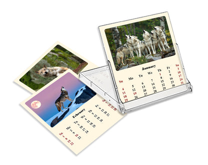 2027 CD-Style Desk Calendar 12 Months Calendar (Wolves)