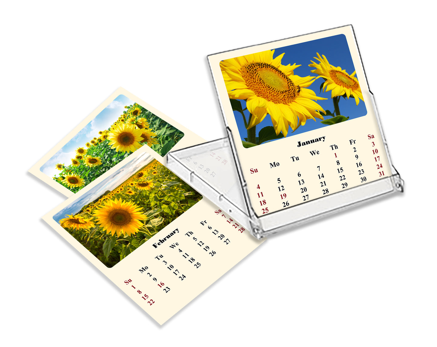 2027 CD-Style Desk Calendar 12 Months Calendar (Sunflowers)