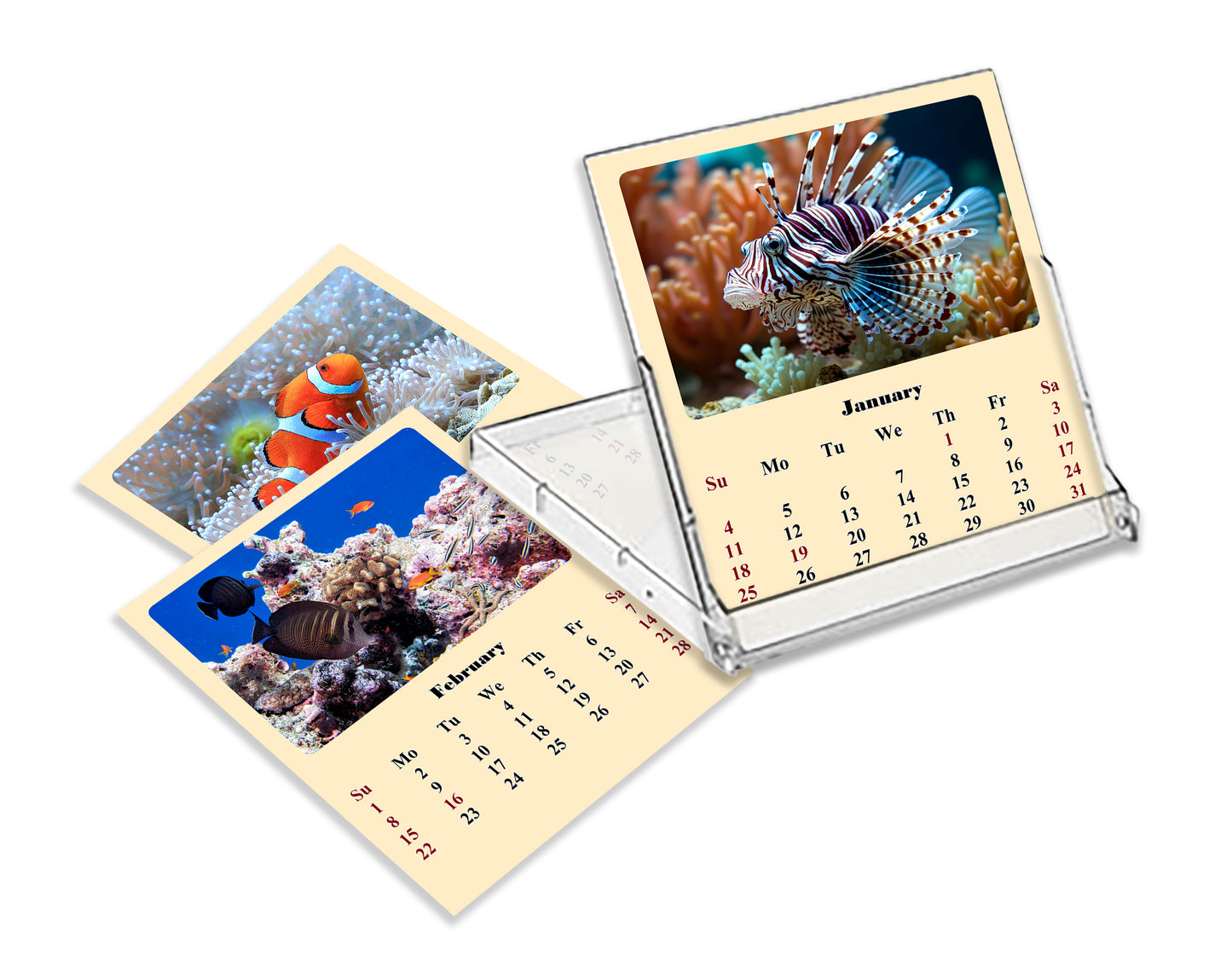 2027 CD-Style Desk Calendar 12 Months Calendar (Tropical Fishes)
