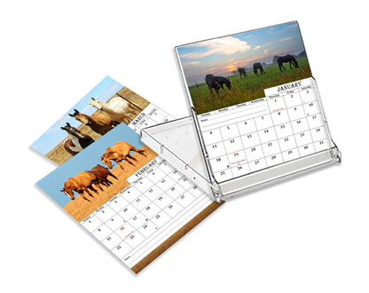 2027 CD-Style Desk Calendar 12 Months Calendar (Horses)