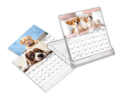 2027 CD-Style Desk Calendar 12 Months Calendar (Dogs)