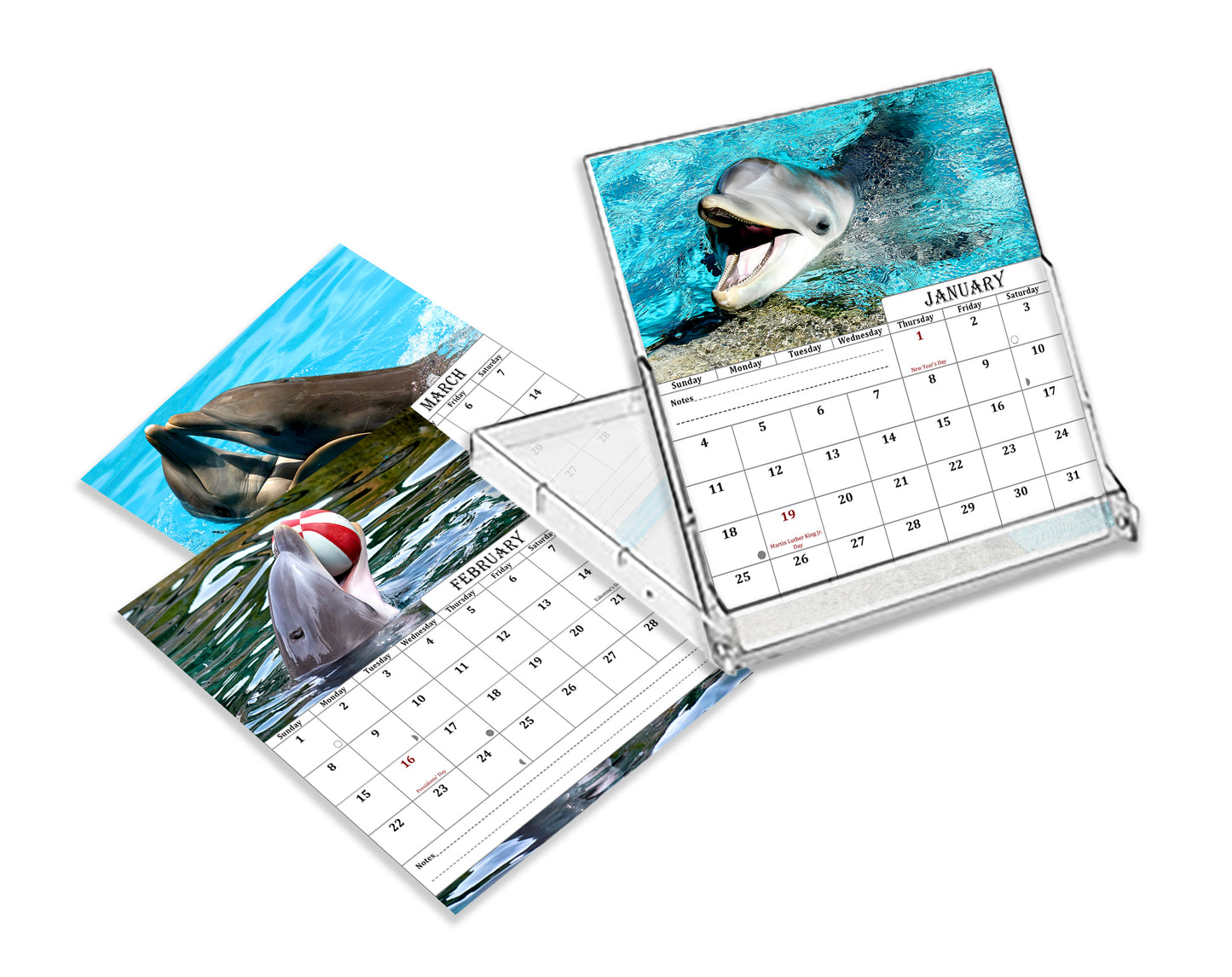 2027 CD-Style Desk Calendar 12 Months Calendar (Dolphins)