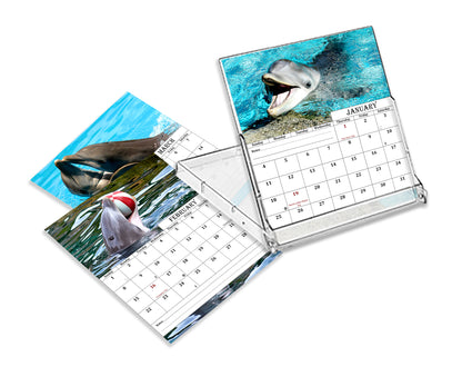 2027 CD-Style Desk Calendar 12 Months Calendar (Dolphins)