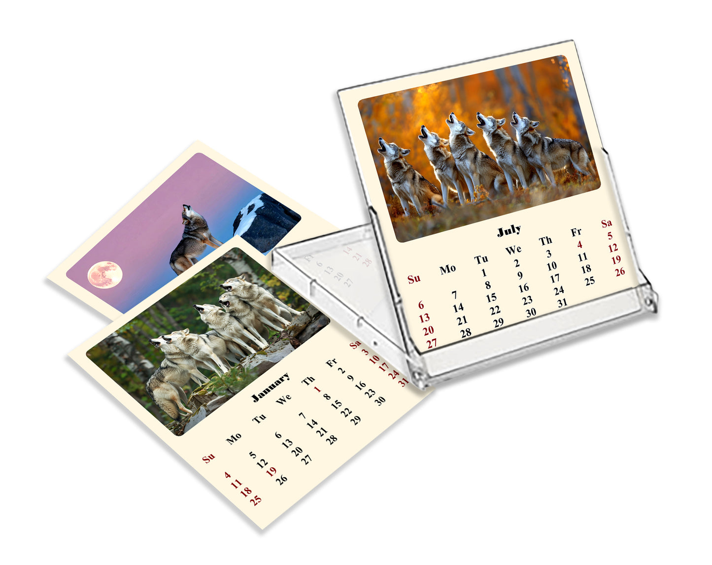 2026-2027 CD-Style Desk Calendar 18 Months Calendar (Wolves)